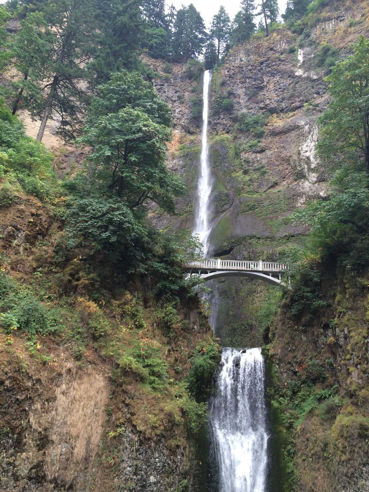multnomah-falls.jpg