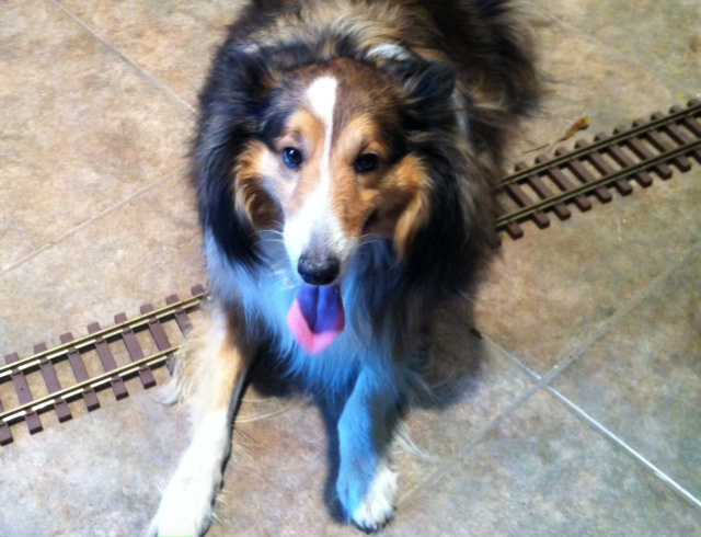 rudy-on-rails.jpg