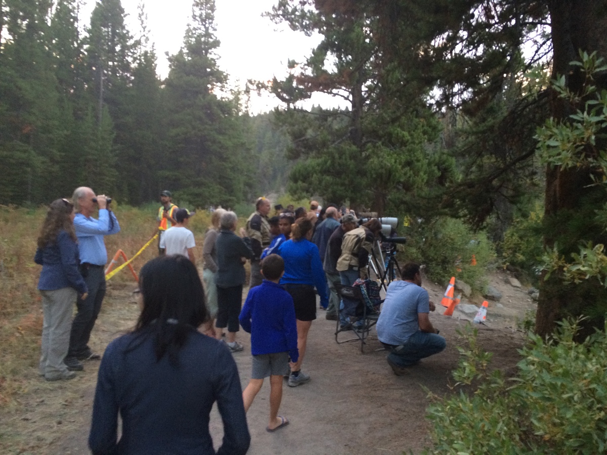 yellowstone-bear-watchers.jpg